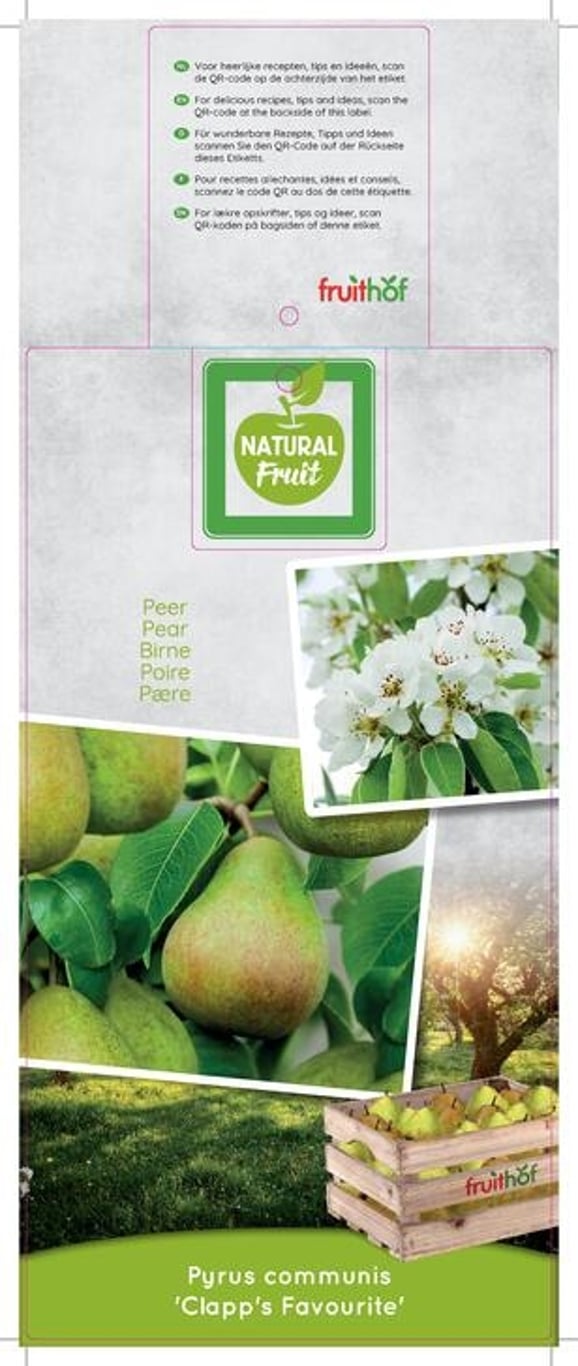 Pyrus c. 'Clapp's Favourite' - C12 250-275 CM Hoogstam